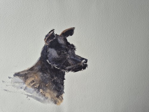 Patterdale terrier original - terrier,
