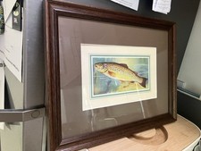 Print of a trout in the style of Bernard Venables Mr Crabtree goes fishing