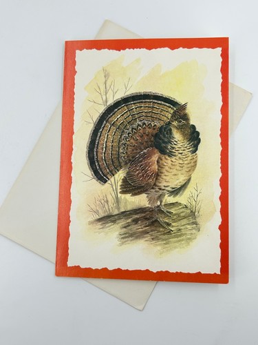 Vintage ruffed grouse - grouse, get