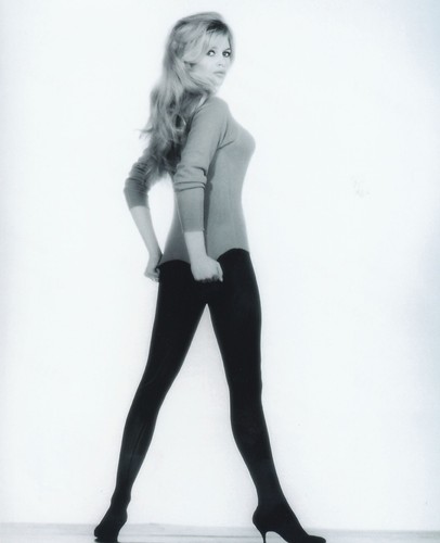 Brigitte bardot 8x10 photo - brigitte,