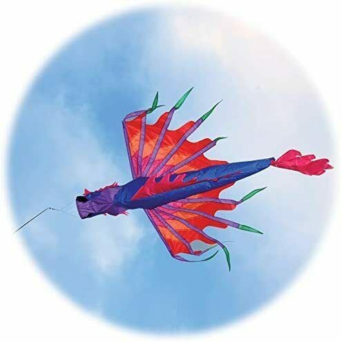 Traditional chinese dragon - traditional,