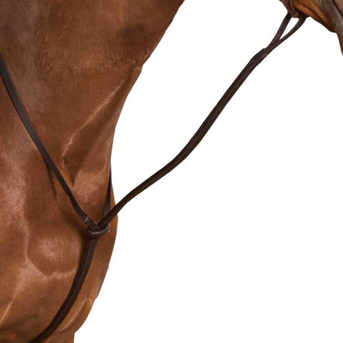 Wintec standing martingale - wintec,
