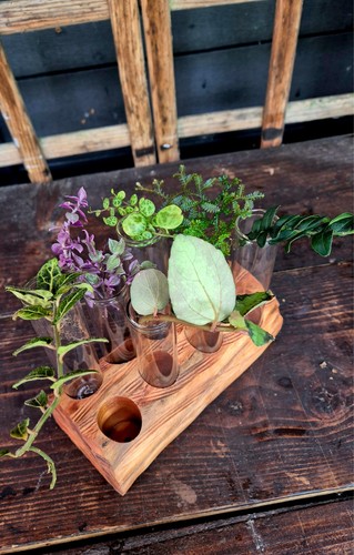 Handmade wooden plant cuttings - handmade,