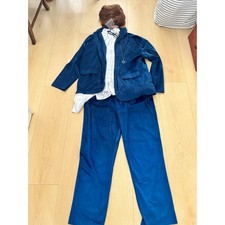 Austin Powers Costume Mens