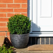Large Round Garden Plant Pots