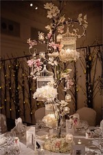 Bird cage stand wedding