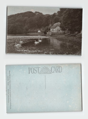 Postcard dittisham on - -,