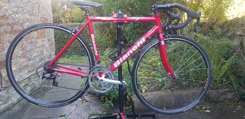 Bianchi gold race 600 - gold,