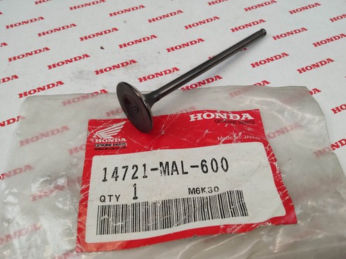 Exhaust valve cb600f - valve,