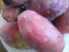 50 PURPLE PRICKLY PEAR SEEDS -