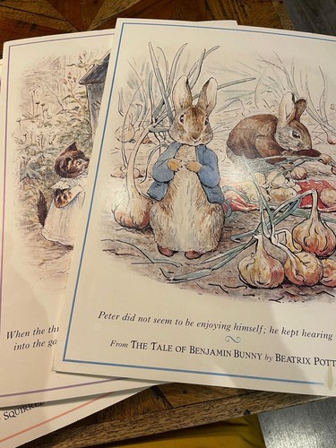 Shop display beatrix potter - display,