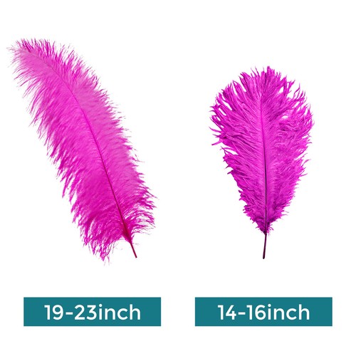 10x large ostrich feathers - large,