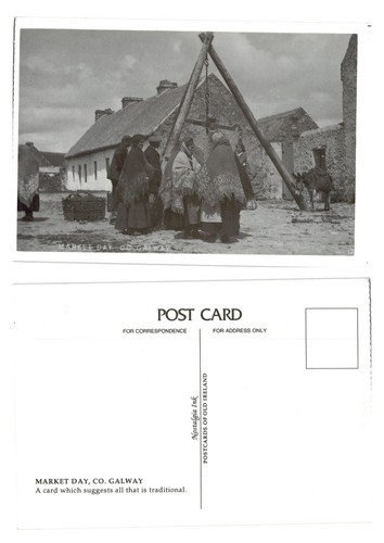 Postcard market day - market, co