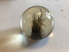 Wembley Turf Commemorative Paperweight