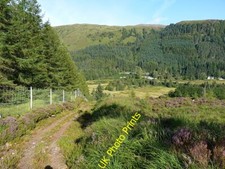 Photo 6x4 Argocat track above