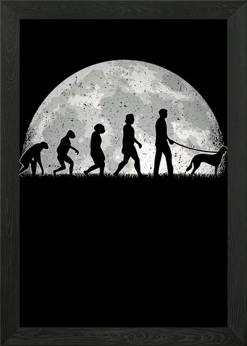Saluki moon evolution - saluki,