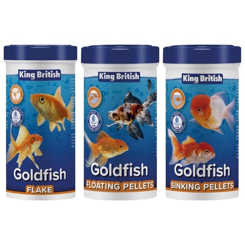 King british goldfish - king,
