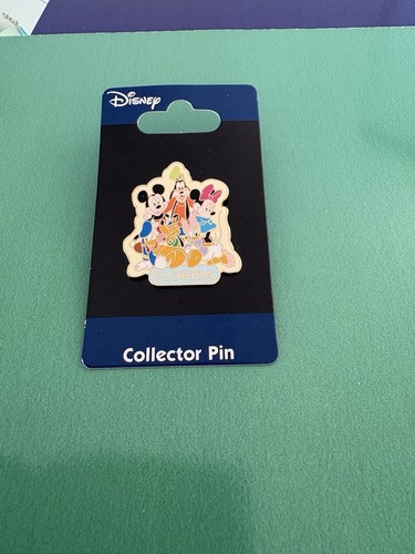 Disney florida pin badge - florida,