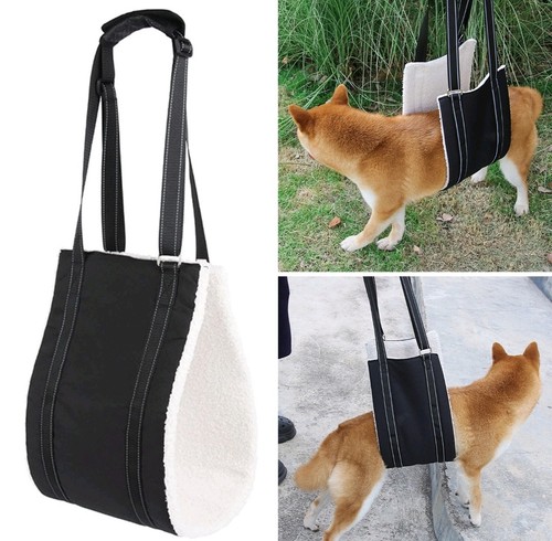 Pet dog mobility aids support - dog,