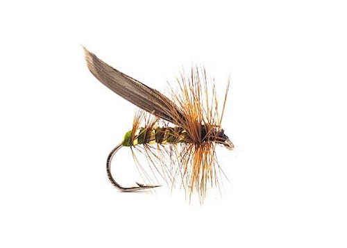 Cinnamon sedge dry flies - 3,
