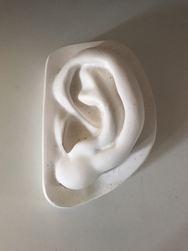 Plaster cast michelangelo s - cast, michelangelo's