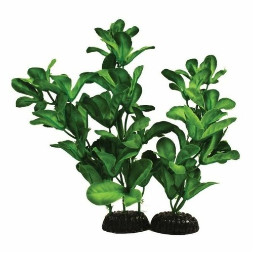 Aquarium artificial water - aquarium,