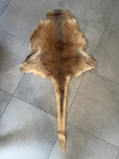 Kangaroo Skin Hide Rug Genuine Australian Stamped Fur