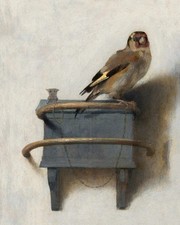 The Goldfinch Carel Fabritus