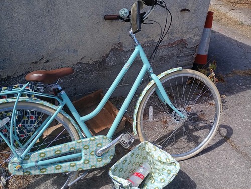 Ladies bicycle orla - ladies,