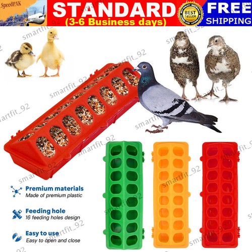 Small chick feeder waterer - small,