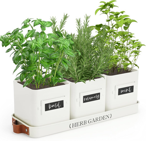 Indoor herb garden - indoor,