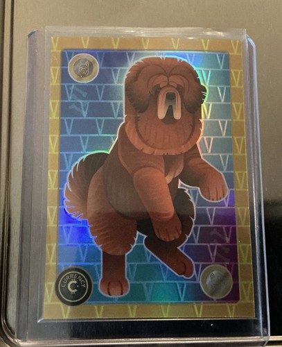Tibetan mastiff 2025 - #67,