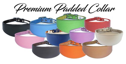 Whippet collar leather - whippet,
