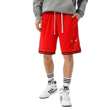 Nike Mens Chicago Bulls NBA
