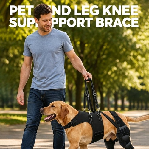 Pet dog rear leg - pet,