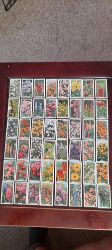 Gallaher ltd garden - gallaher,