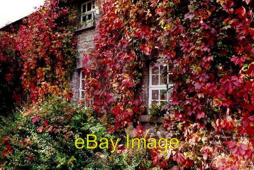 Photo 6x4 longford - photo,