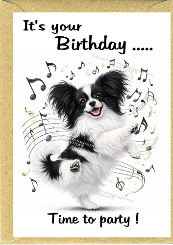 Papillon butterfly dog x - papillon,