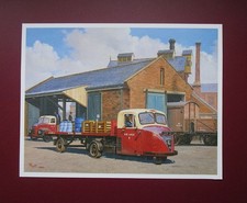 MALCOLM ROOT  9.20" x 7.00"