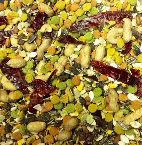Parrot mix premium - parrot,