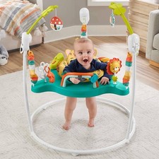 Fisher-Price Jumperoo Baby Activity Center with Lights Sounds and Music