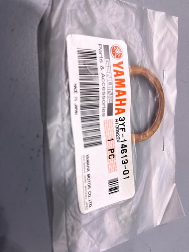 New genuine yamaha fzr1000 - yamaha,