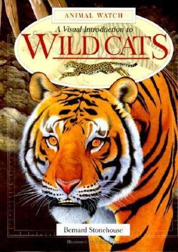 Wild cats - cats, (animal