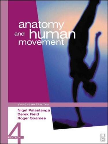 Anatomy and human movement - human,