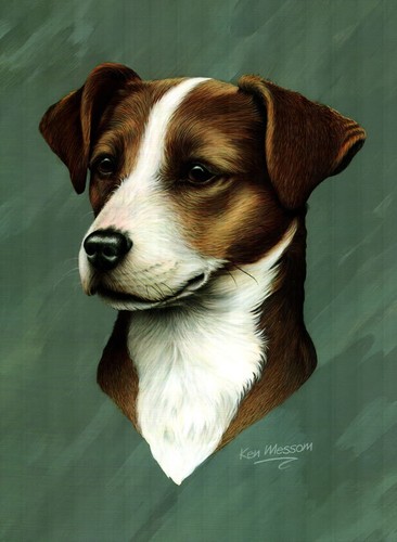 Print jack russell - print, a