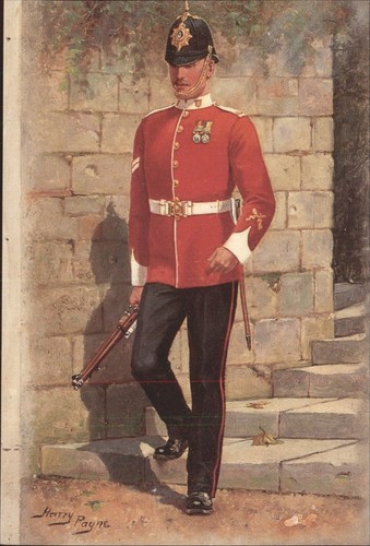 Harry payne the essex regiment - the,
