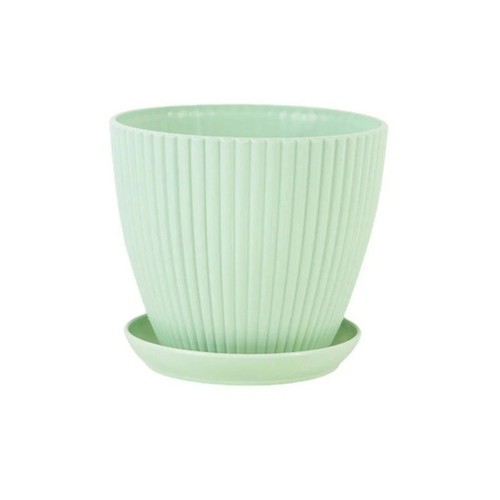 Plant pots indoor - plant, outdoor