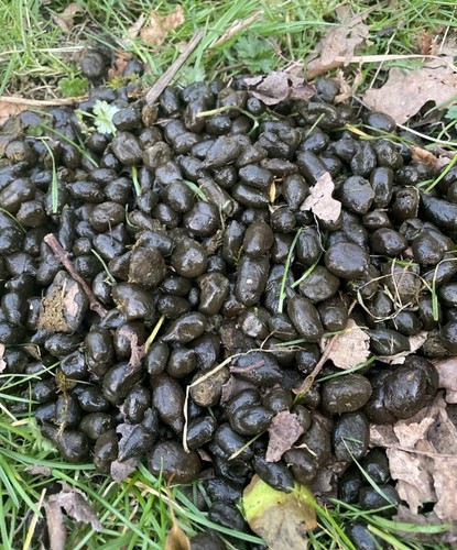 2kg alpaca manure - alpaca,