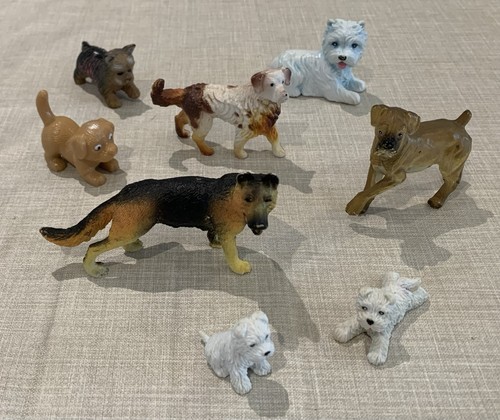Toy dog puppy - puppy, terrier