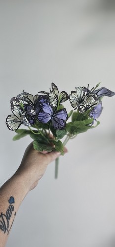 Butterfly floral display - 🦋,